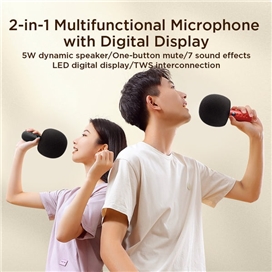 میکروفون اسپیکر جویروم Joyroom Microphone With Speaker JR-MC6