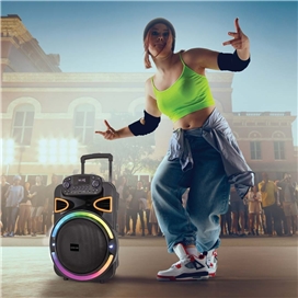اسپیکر پارتی لایف 50 وات گرین لاین Green LionGreen Lion PartyLife 500 Bluetooth Speaker GL-PS50B