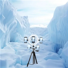 سه پایه دوربین و موبایل پرودو مدل TRPAL