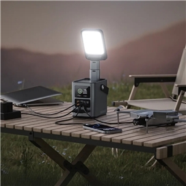 پاور استیشن 60000 گرین لاین Green Lion Energy Max Power Station GNEMPST60KGY