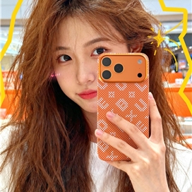 قاب Blueo بلو Gilded Tactile Woven Aramid Fiber Magnetic Case مناسب برای Apple iPhone 17 Pro Max