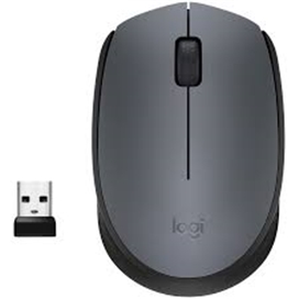 ماوس بی‌ سیم لاجیتک Mouse Logitech M170 RF Gray