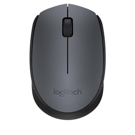 ماوس بی‌ سیم لاجیتک مدل M 171 ا M171 Wireless Mouse