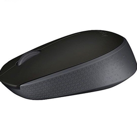 ماوس بی‌ سیم لاجیتک مدل M 171 ا M171 Wireless Mouse