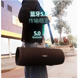 اسپیکر بلوتوثی قابل حمل زیلوت مدل S39