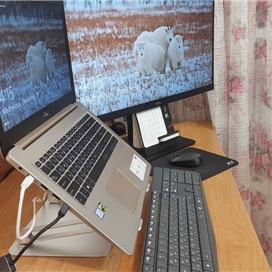 پایه نگهدارنده لپ تاپ نیلکین مدل ProDesk Adjustable