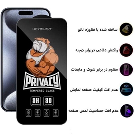 محافظ صفحه نمایش حریم شخصی اپیکوی مدل Privacy Hey Bingo مناسب برای گوشی موبایل اپل iPhone 15 Pro