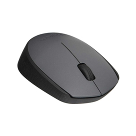 ماوس بی‌ سیم لاجیتک Mouse Logitech M170 RF Gray