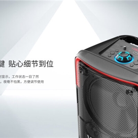 اسپیکر بلوتوث دبلیو کینگ W-King T7 توان 100 رم و فلش خور با 2 میکروفون