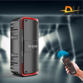 اسپیکر بلوتوث دبلیو کینگ W-King T7 توان 100 رم و فلش خور با 2 میکروفون